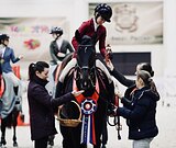 УНИВЕРСАЛЬНЫЙ ТУРНИРНЫЙ 