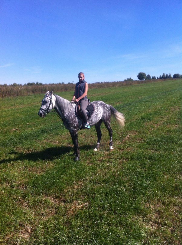 Мой толстый серый конь&#128540;