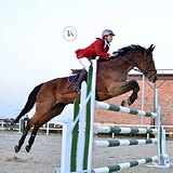 СТАРТОВЫЙ ОПЫТ ДО 130 СМ