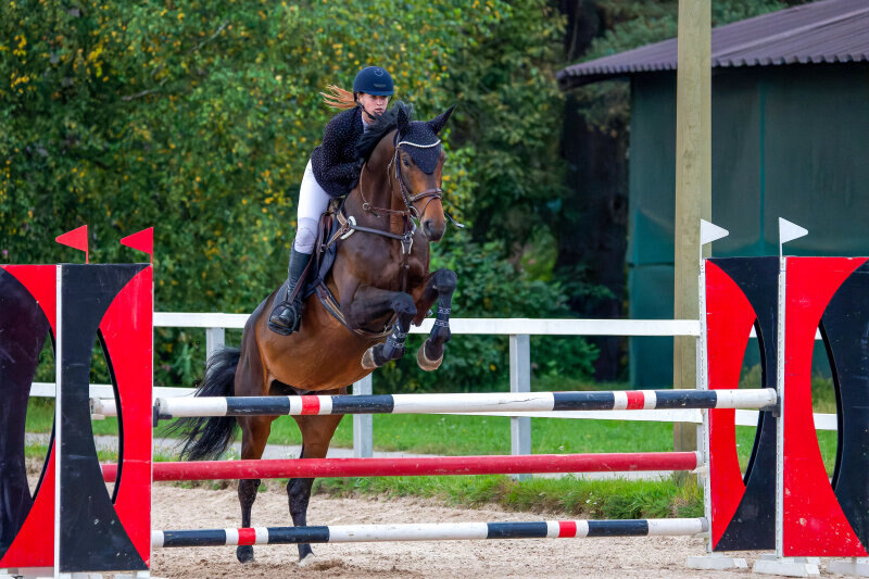 ВИНГЭРО ДЭ САРО ЗЕТ-20 и Михайлова Диана