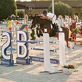 МЕРИН 8 ЛЕТ ПО СУПЕР ЦЕНЕ 