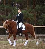 Хобби, маршруты 80, детские е