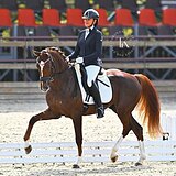 РЫЖИЙ МЕРИН | УРОВЕНЬ МП