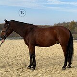 БЕЗОПАСНЫЙ ДЛЯ ДЕТЕЙ