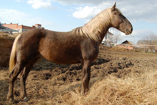 г. Азов 2010г