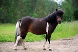 Заманчивая 