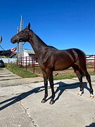 Ганноверский жеребчик