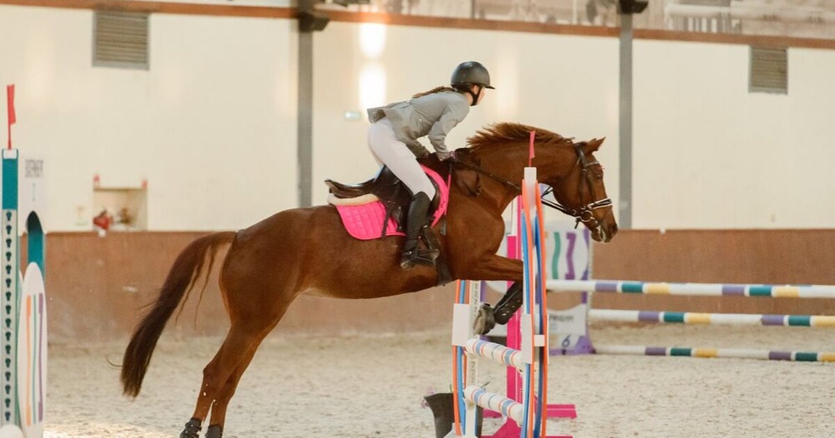 Упражнения на спортивном коне