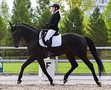 УРОВЕНЬ ПОДГОТОВКИ ДО СП