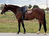 Маршруты 80, стартовый опыт