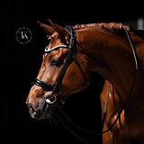 МЕРИН 5 ЛЕТ 180 СМ В ХОЛКЕ