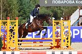 Большой добрый жеребец