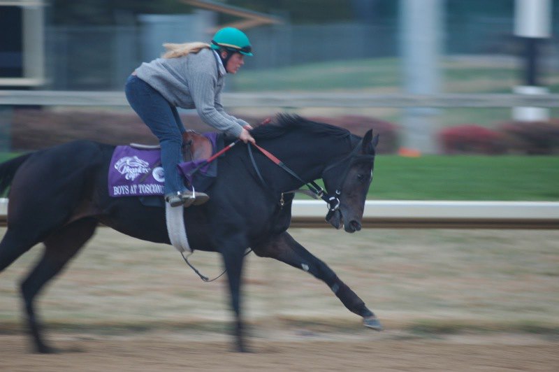 Ипподром Churchill Downs 2010 год, подготовка к Breeders' Cup Juvenile 