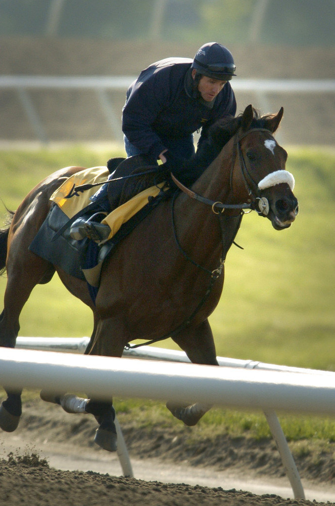 Ипподром Pimliko 2006 год, подготовка ко второму Этапу Тройной Короны - Preakness Stakes