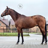 ЭЛЕМЕНТЫ ЮНОШЕСКИХ ЕЗД