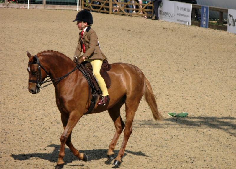 Royal Windsor Horse Show, UK