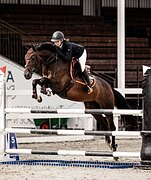 БЕЗОПАСНАЯ В КОНКУР