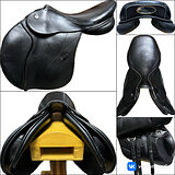 PEGASUS BUTTERFLY BW 18”