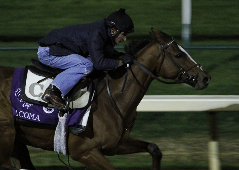 Ипподром Churchill Downs 2010 год. Кобыла готовится к Breeders' Cup Ladies' Classic 