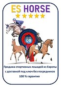 ЛОШАДИ ИЗ ЕВРОПЫ НА ЗАКАЗ