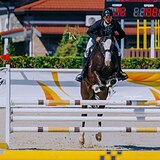 МЕРИН НА МАРШРУТЫ 110 СМ