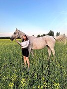 кобыла ЧК