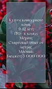Купим конкурную лошадь