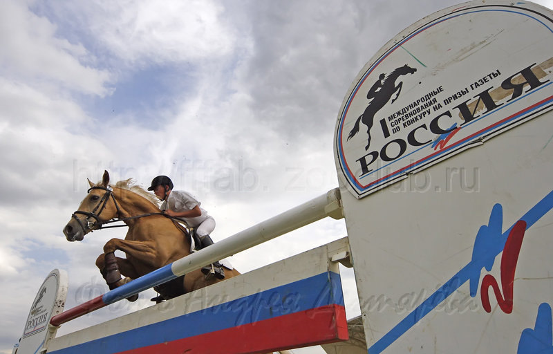 14.06.08г. На приз газеты Россия.   http://fffab.zooclub.ru/horse/index_1.htm