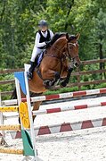 Ганноверская кобыла 