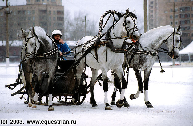 Зимний Чемпионат Русских Троек