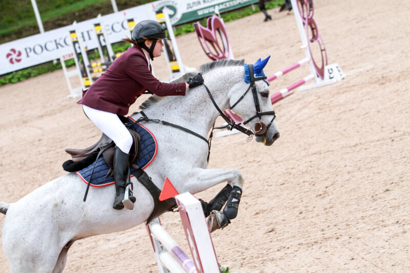 АГЕНТ-13 и Венкова Анастасия