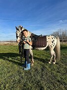 Аппалуза 110 вх, 2015 гр