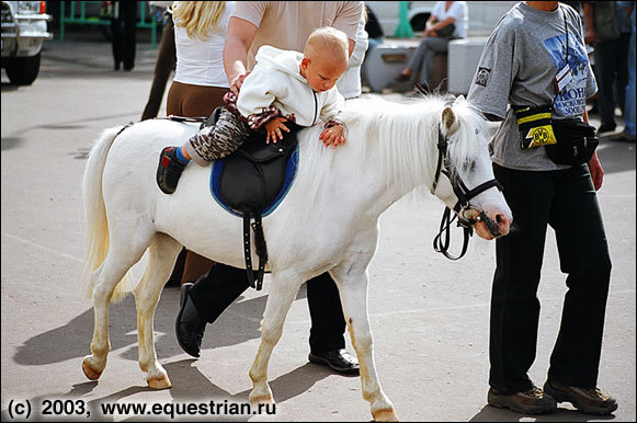 Самая лучшая лошадь - это пони!