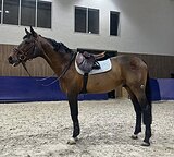 ОПЫТНЫЙ УЧИТЕЛЬ