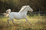 Нежная и безопасная