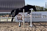 Тракен в спорт