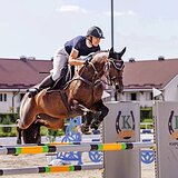 КОБЫЛА В СПОРТ