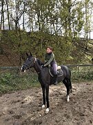 Маршруты 100, дома 120