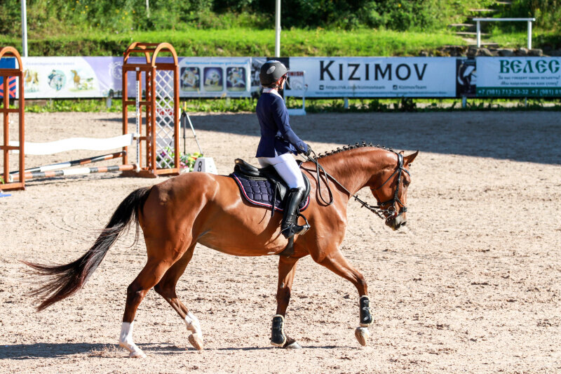АРИЗОНА-17 и Колпышева Наталия
