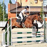 СТАРТОВЫЙ ОПЫТ ДО 130 СМ 