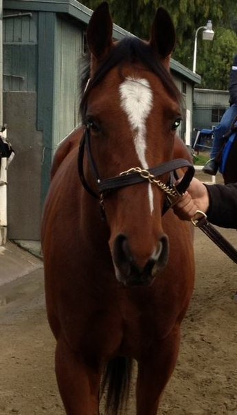 Santa Anita Park