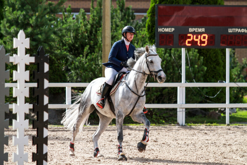 КАЛИФОРНИЯ ДРИМ-15 и Григорьева Евгения