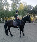 Безопасный детский пони-кл