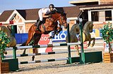 Жеребец 2022 г.р.