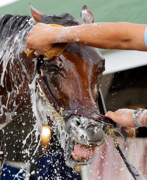 занятие. Churchill Downs 214 год.