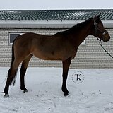 МАРШРУТЫ ДО 120 СМ