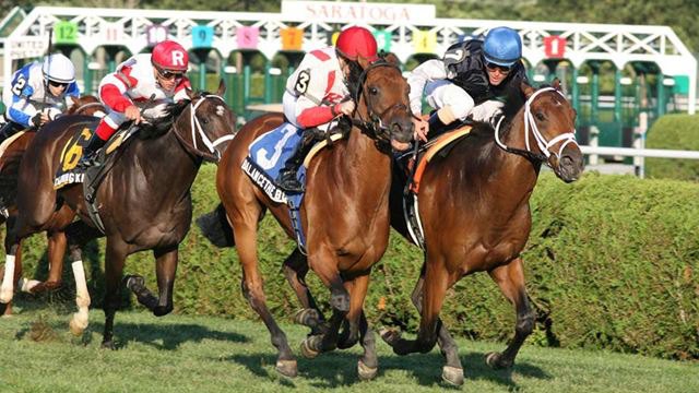 Ипподром Saratoga 2012 год, скачка With Anticipation Stakes