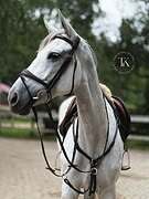 КРАСИВАЯ КОБЫЛА В КОНКУР