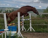Прыгучий жер в спорт