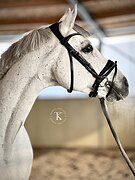 ЭЛЕМЕНТЫ ЮНОШЕСКИХ ЕЗД